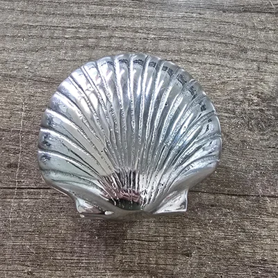 Alhajero Concha Rayada - Imagen 3